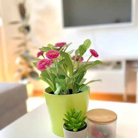 Lux Apartman Terasa Apartment Prijedor
